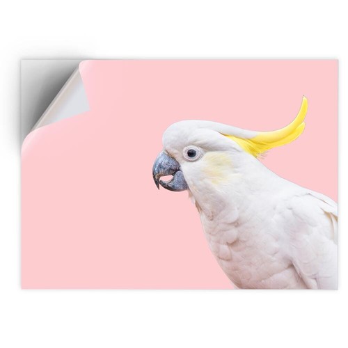 Vinyl sticker pink cockatoo - sticker,