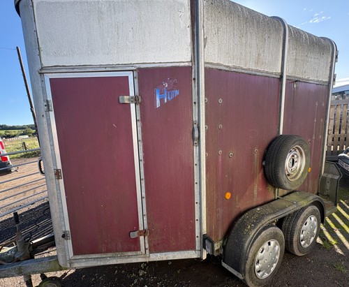 Ifor williams hunter - ifor,