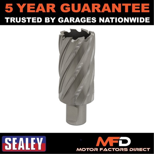 Sealey worksafe 33mm - worksafe�, hss
