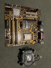 ASUS P5K-VM With Penguin