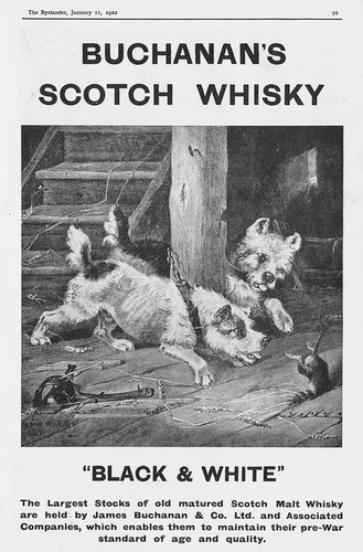 Buchanan scotch whisky black - whisky,