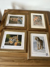 4 x Stephen Gayford Framed Print Picture, Limited Edition Tigers