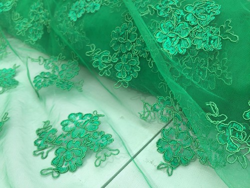 Embroidered french lace - embroidered,