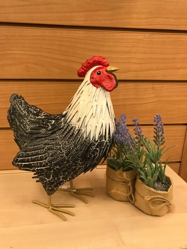 Rooster cockerel hen - rooster, chicken