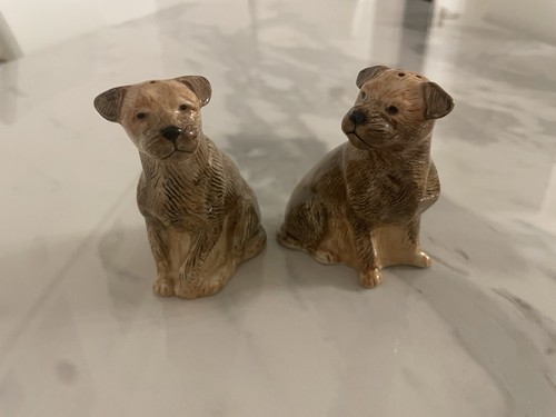 Border terrier salt - border,
