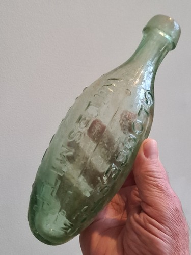Early chisel lip - lip, hamilton