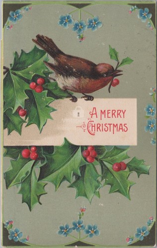 Merry christmas robin - robin, holly