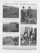 HARE COURSING Border Union
