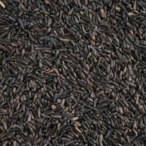 Niger seeds 50g 1kg wild - seeds,
