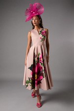 Coast Blush Fit & Flare Dress