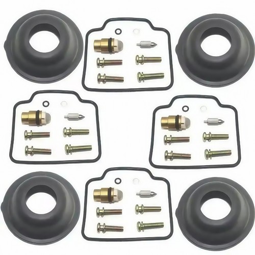 Carburetor repair kit - repair, for