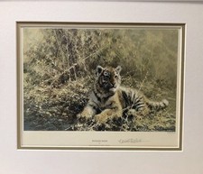 Teenage Tiger