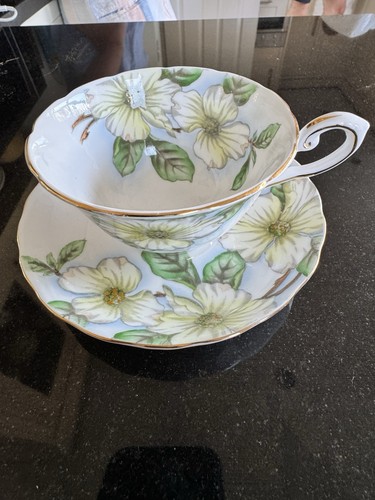 Tuscan dogwood c9790 - c9790, fine