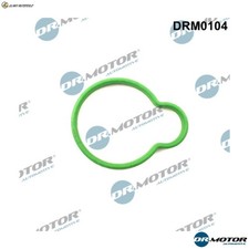 INTAKE MANIFOLD GASKET DRM0104