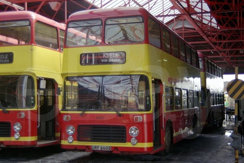 Bus photo pmt 660 - photo,