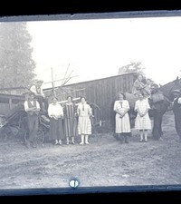 GLASS NEGATIVE FARMING HORSE