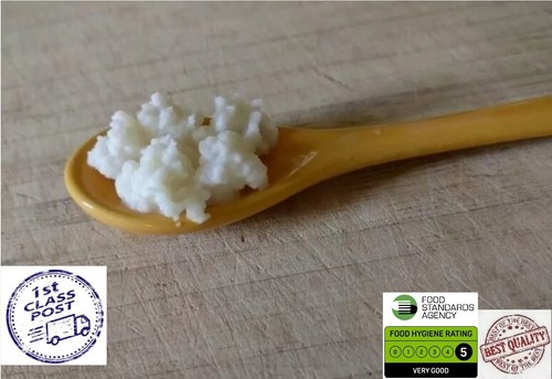 Gms kefir grains 1st class - gms,