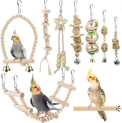 Bird toys parakeet - bird,
