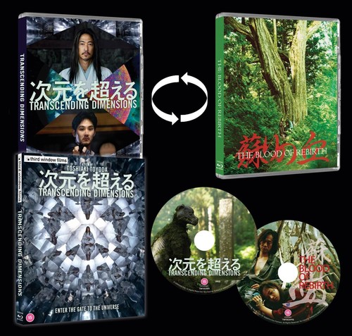 Transcending dimensions - transcending,