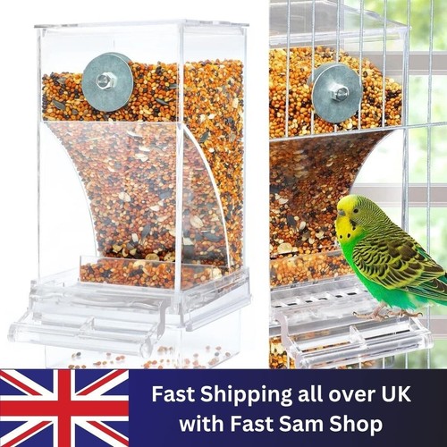 Auto bird feeder cup bowl - auto,