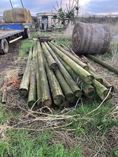 Softwood treated poles - 20 ft x 6” 