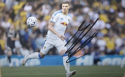 Tarik muharemovic leeds united - tarik,