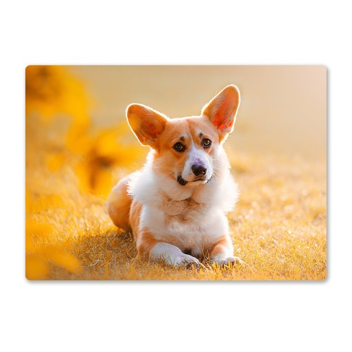 Metal wall sign dogs corgi - metal,