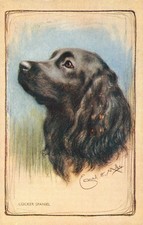 Cocker Spaniel Black Dog