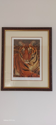 Tiger khana limited - khana, edition