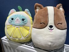 Squishmallows Corinna Lemon Cat corrina Regina Corgi Soft Plush Toy Kellytoy 7.5