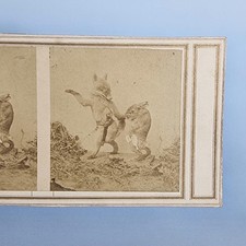 Victorian Stereoview C1865