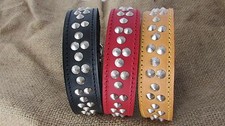 Leather bull terrier collars