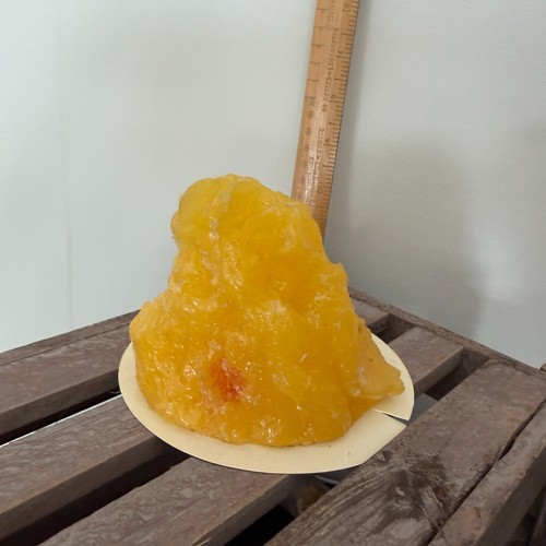 Life form nasco 1lb - nasco,