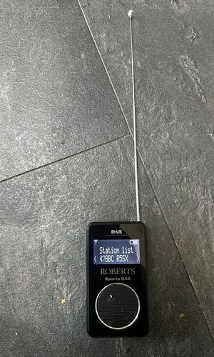 Roberts sports dab - dab, dab/fm