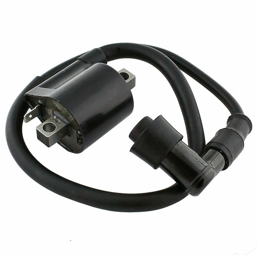 Ignition coil for - ignition,