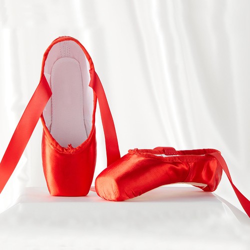 Professional ballet pointe - professional,