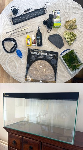 Fish tank aquarium - , setup