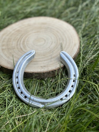 Lucky silver horseshoe real - lucky,