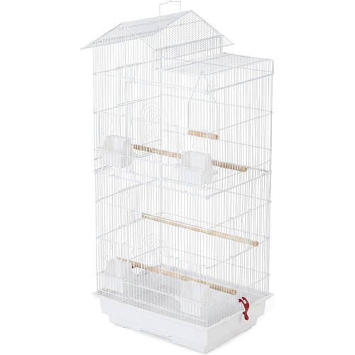 100cm roof top small parakeet - top,