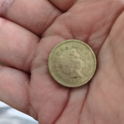2006 pound coin used - ,