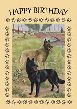 BELGIAN SHEPHERD DOG BIRTHDAY