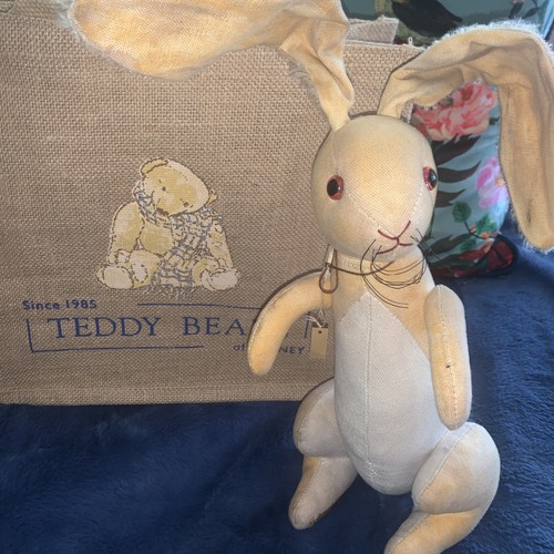 Teddy bears witney bunny - teddy, of