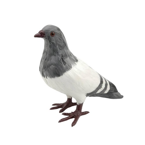 Pigeon model with feathers - pigeon,