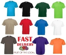 Fruit Of The Loom Mens T