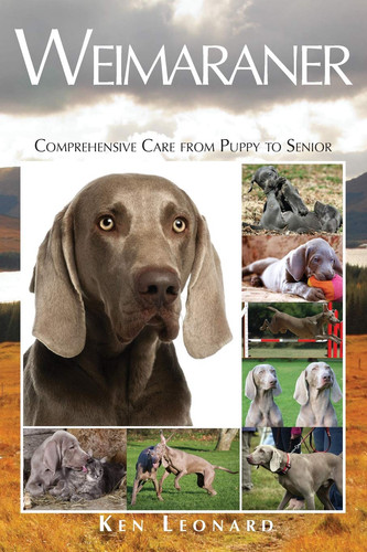 Weimaraner comprehensive care - weimaraner:,