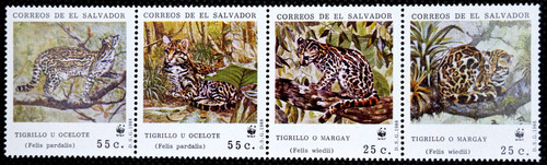 Salvador 1989 wwf - salvador,
