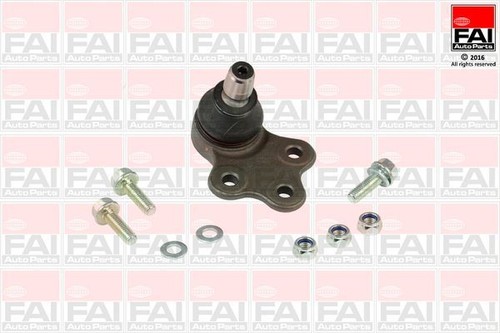 Fai front lower - lower, joint