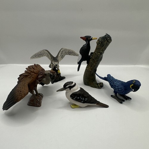Unbranded bird bundle - bird, 5x