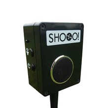 Pigeon Deterrent & Seagull