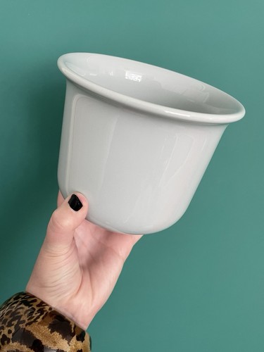 Poole pottery plant - , pot,
